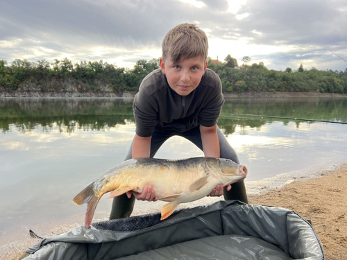 Snímek obrazovky 2024-07-22 094806